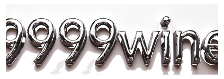 9999wine logo